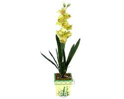 zel Yapay Orkide Sari  zmir Menemen online iek gnderme sipari 