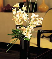  zmir Mithatpaa online ieki , iek siparii  cam yada mika vazo ierisinde dal orkide