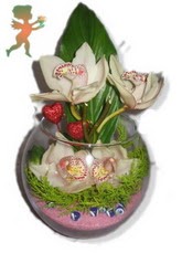 fanus ierisinde 4 orkide  zmir Yeniehir yurtii ve yurtd iek siparii 