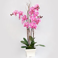  zmir Aliaa iek gnderme  2 adet orkide - 2 dal orkide