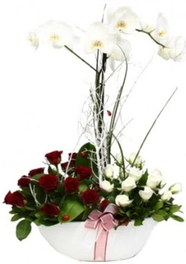 Tek dal beyaz orkide 8 beyaz 8 krmz gl  zmir Fevzipaa hediye sevgilime hediye iek 