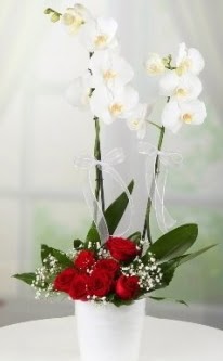 2 dall beyaz orkide 7 adet krmz gl  zmir Alsancak iek sat 