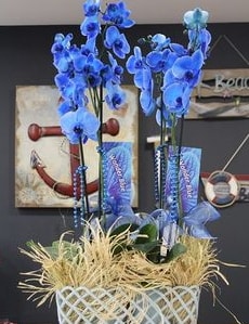 4 dall zel mavi orkide  zmir Bornova nternetten iek siparii 