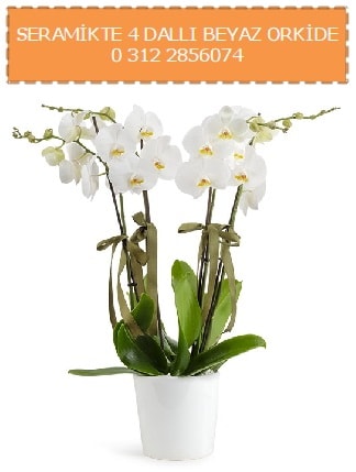 Seramikte 4 dall beyaz orkide  zmir Mithatpaa online ieki , iek siparii 